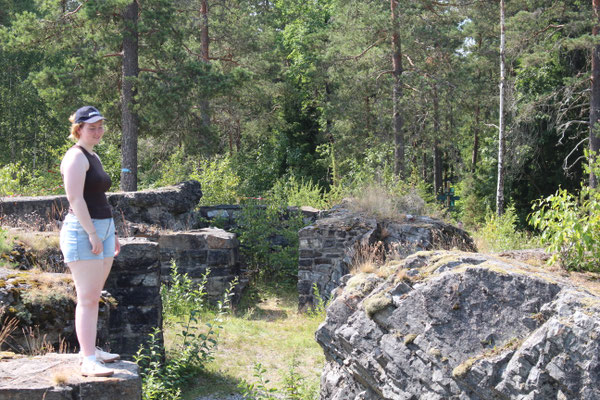 Bild_288
